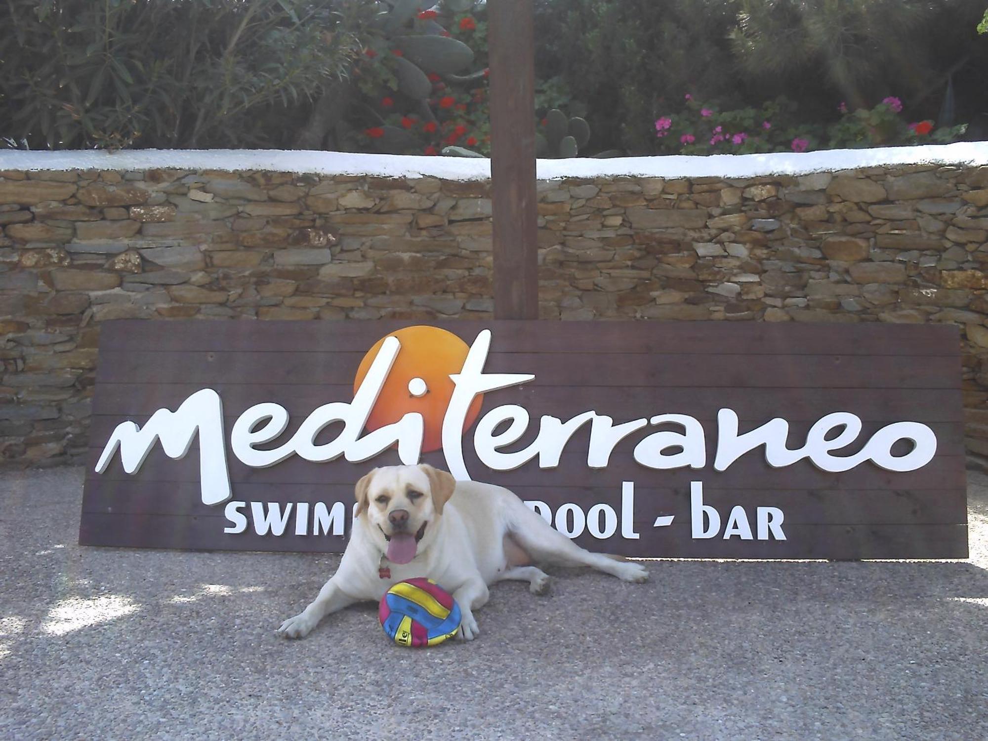 Hotel Mediterraneo Ίος Εξωτερικό φωτογραφία